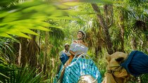 Camel Expedition and Beach Club In Riviera Maya