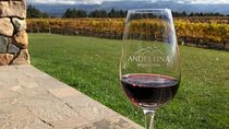 Private Tour in Valle de Uco