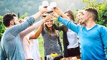 Florence: Chianti Wine Experience