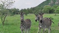 Shai Hills Half Day Accra Safari, Hike & see Animals 