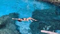 Full-Day Tulum Cenotes Dos Ojos and Gran Cenote Tour