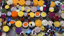 Lalbagh+Bull Temple+Tipu Palace+Market+Lunch=Bangalore City Tour