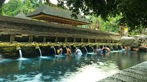 Ubud Monkey Forest, Holy Water Temple & Waterfalls Tours