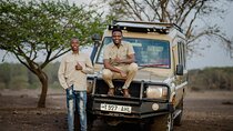 Serengeti Ngorongoro and Lake Manyara 4 Day Camping Tour