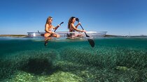 Clear Kayak Tour to Canyon, Island Cliffs & small Cave 