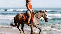 Horse Riding & Swimming Experience in the Sea & Desert - Hurghada