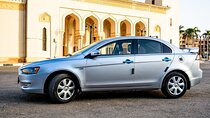 "Pet-Friendly Private Transfer: Luxor Station to Hotel"