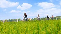 Ninh Binh Full-Day Tour from HANOI (Group of 9 with Best Care)
