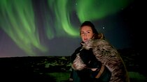 Reykjavik: Northern Lights Tour - Pro Aurora Photos - Small Group