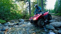 Full-Day Adventure - Rafting, Zipline, Quad & Buggy