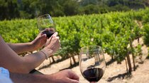 Wine tasting in TWO family wineries around Florence