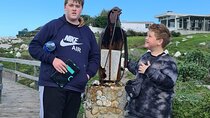 Full-Day Tour Stony Point Penguin Colony at Betty's Bay (up to 10 persons)
