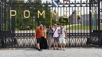 Champagne Day tour with Veuve Clicquot and 2 other big wineries