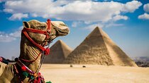 Egypt Private Tour 7 Days Cairo, Alexandria & Hurghada by flight