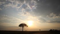 Full-Day Private Tour Nairobi National Park and Giraffe Center