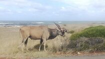 South to North West Rural Tour 