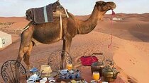 Desert tour 3 says from marrakech