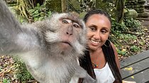 Best of Ubud : Elephant Cave Temple, Monkey forest, Rice Terrace