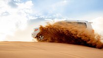 Abu Dhabi Evening Desert Safari with Camel Ride and Dinner