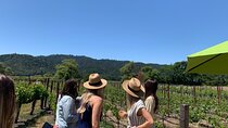 Wine Tour Pros - Napa Wine Tour: SUV Up To 6 Guests