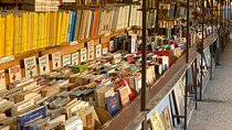 2 Hour Walking Tour at Lucca 