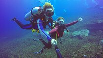 Ultimate Scuba Diving Experience, Two Dives & Lunch – Marsa Alam