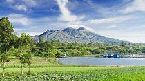Private Tour: Bali Volcano with Jungle Swing Experience