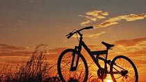 "Luxor's East Bank: Ancient Wonders by Bike (3-Hour Adventure)"