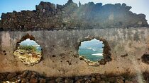 Full-Day Private Culinary Oil and Wine Tasting Tour in Crete