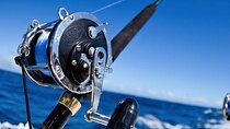 Private Speedboat Fishing & Snorkeling Sea Trip - Hurghada