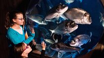 SEA LIFE Speyer Admission Ticket