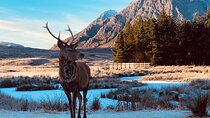 Private Scottish Highlands and Loch Ness Tour from Edinburgh