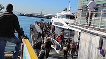 Robben Island Cape Of Good Hope Penguins Including Ferry Ticket