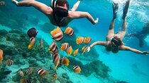 Blue Lagoon Snorkeling and Lunch - Ubud Monkey Forest - Waterfall