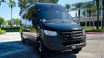14 Passengers Van Airport to or from Port Canaveral One Way