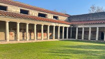 Pompeii, Herculaneum and Oplonti Private Day Tour from Rome