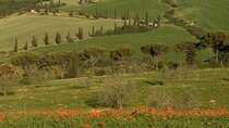  From Florence to Tuscany Winerys