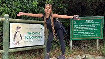 Boulders Beach Cape Town: Swimming With Penguin & Close Encounter Half Day Tour
