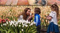 Keukenhof Gardens and Tulips Private Tour from Amsterdam