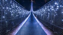 Vancouver Small Group Night Tour w/Capilano + Grouse Mtn Dinner