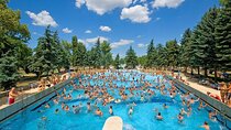 Budapest Palatinus Bath Full-Day Admission