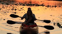 90-Minute Sunset paddle at Secret Lake Guided Kayak Tour in Casselberry 