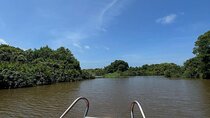 Negombo Lagoon & Muthurjawela Bird Watching Boat Tour