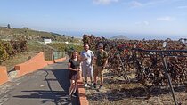 Tenerife Wine Tasting Private Tour