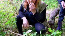 Truffle Hunting Experience with Lunch in San Miniato 