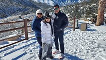 Mount Charleston Tour