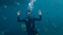 Blou lagoon snorkeling all incllusive