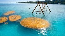 Day at Bacalar! Nature boat trip & Cenote from Cancun