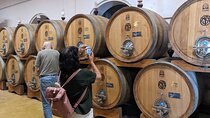 From Lake Garda: Full-Day Valpolicella Wine and Lunch Guided Trip