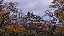 Wakayama Castle and Kuroshio Market 1 Day Tour